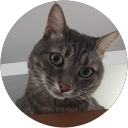 Berk Önüç profile picture